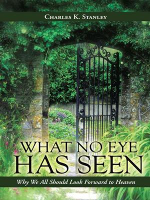 Cover of the book What No Eye Has Seen by Eric C. Dohrmann