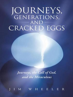 Cover of the book Journeys, Generations, and Cracked Eggs by Carine Colas Diallo