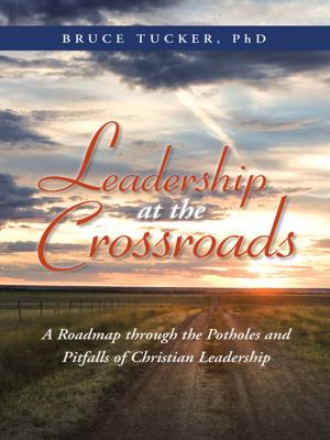 Cover of the book Leadership at the Crossroads by Peggy Houston Henderson