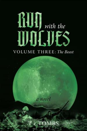 bigCover of the book Run with the Wolves by 