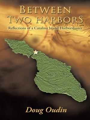 Cover of the book Between Two Harbors by Mathilde Apelt Schmidt