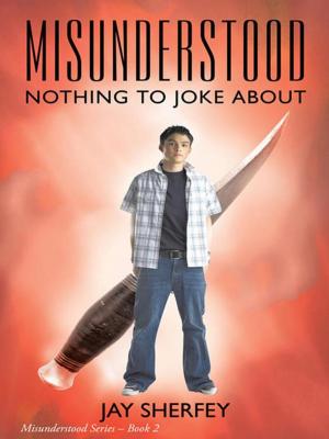 Cover of the book Misunderstood: Nothing to Joke About by Tope Babalola
