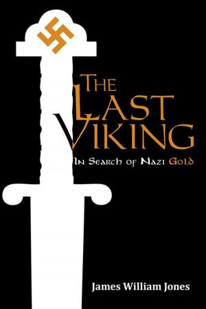 Cover of the book The Last Viking by J R Tomlin