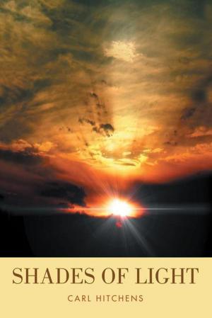 Cover of the book Shades of Light by Margot Vesel Rising