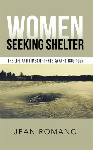 Book cover of Women Seeking Shelter