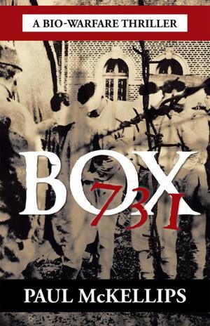 Cover of the book Box 731 by Nadia Tesich