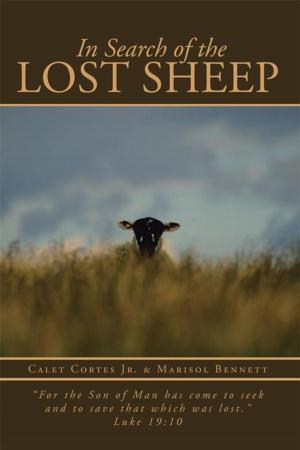 Cover of the book In Search of the Lost Sheep by Susan Muir