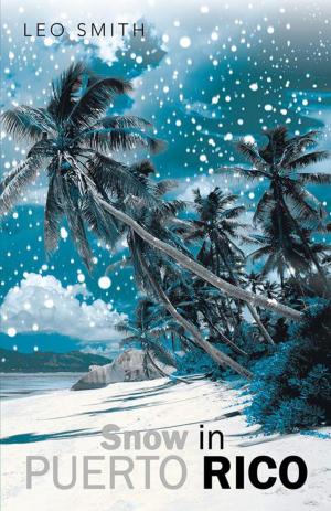 Cover of the book Snow in Puerto Rico by Karen Jourden