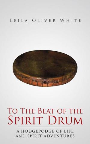 Cover of the book To the Beat of the Spirit Drum by Stephen Harrod Buhner