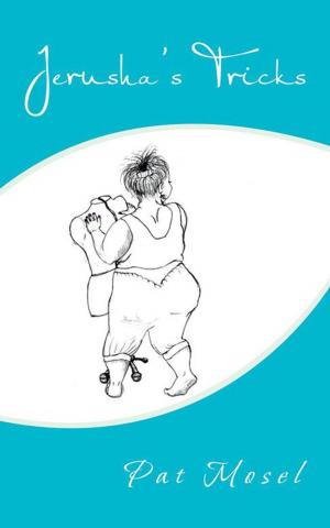 Cover of the book Jerusha's Tricks by Meryl E. Hodgson