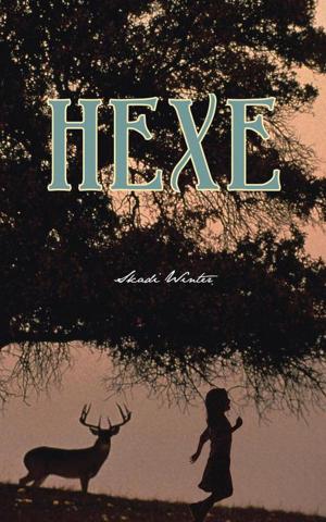 Cover of the book Hexe by Harry G. Sherwin