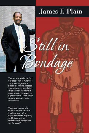 Cover of the book Still in Bondage by Wolfe Drakelius Ravensgate