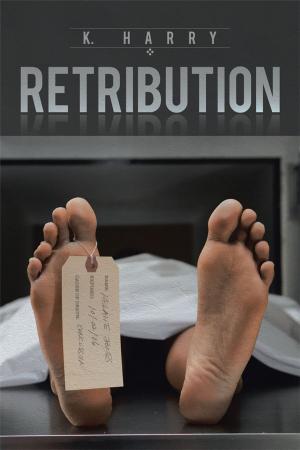 Cover of the book Retribution by Daniel Caton
