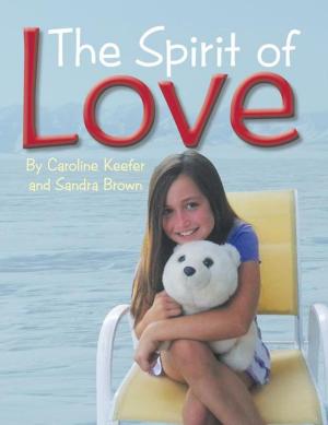 Cover of the book The Spirit of Love by Rudy Apodaca