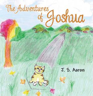 Cover of the book The Adventures of Joshua by T. Woods
