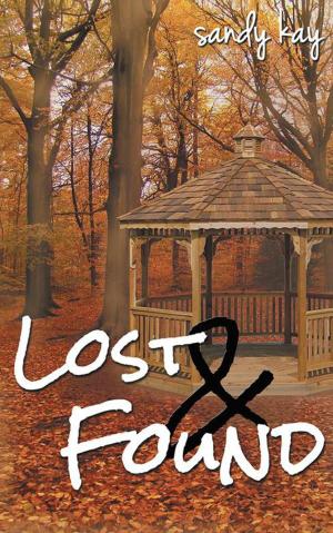 Cover of the book Lost & Found by Benoit d'Andrimont