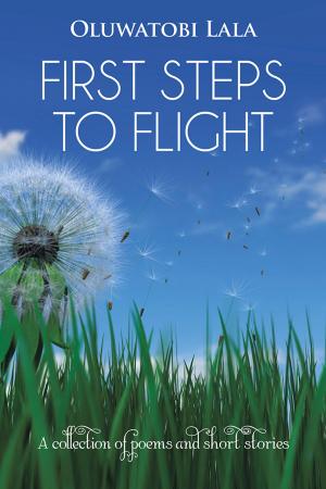 Cover of the book First Steps to Flight by Peyton Hooper Hodge