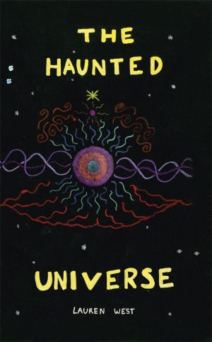 Cover of the book The Haunted Universe by Mike Gambo.