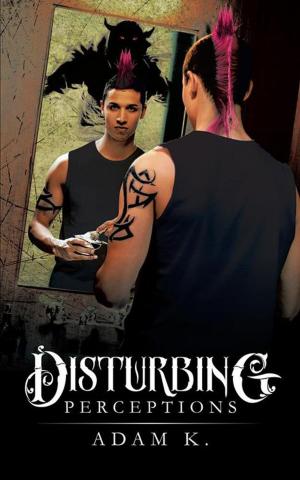 Cover of the book Disturbing Perceptions by Joanna Blackburn