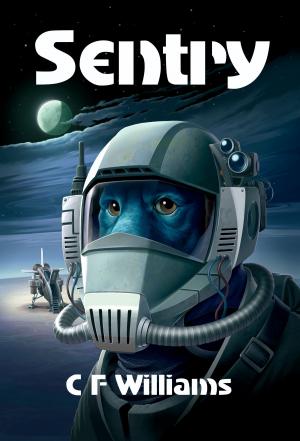 Cover of the book Sentry by Bruno Estañol