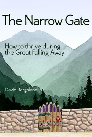 Cover of the book The Narrow Gate by Donna G. Kelley