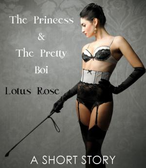 Book cover of The Princess and the Pretty Boi: A Short Story