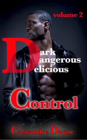 Cover of the book Dark Dangerous Delicious - Control by Elizabeth de la Place