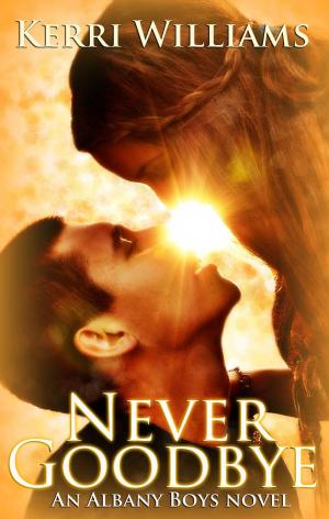 Cover of the book NEVER GOODBYE by Kate Meader