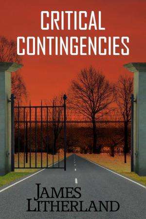 Cover of the book Critical Contingencies by Ginger Elinburg