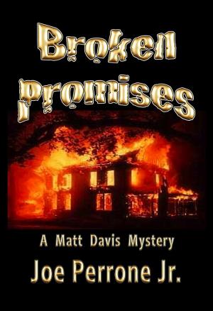 Book cover of Broken Promises: A Matt Davis Mystery