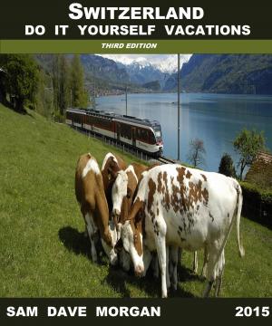 Book cover of Switzerland: Do It Yourself Vacations