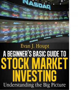 Cover of A BEGINNER’S BASIC GUIDE TO STOCK MARKET INVESTING: UNDERSTANDING THE BIG PICTURE