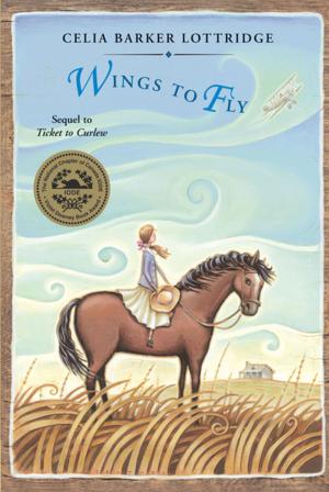Cover of the book Wings to Fly by Mary Razzell