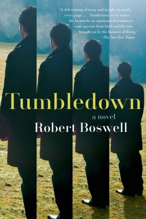 Book cover of Tumbledown