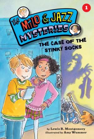 Cover of The Case of the Stinky Socks (Book 1) by Lewis B. Montgomery, Kane Press