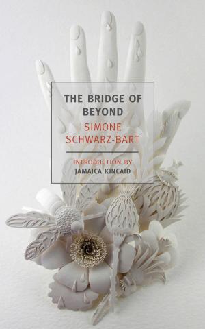 bigCover of the book The Bridge of Beyond by 