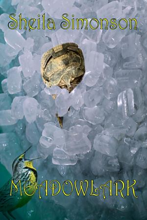 Cover of the book Meadowlark by Susanne Marie Knight