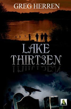 Book cover of Lake Thirteen