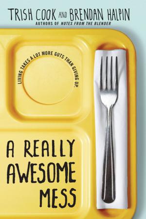 Cover of the book A Really Awesome Mess by Joanne Mattern