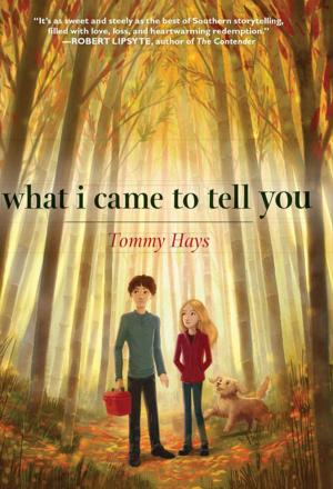 Cover of the book What I Came to Tell You by Douglas Hustad