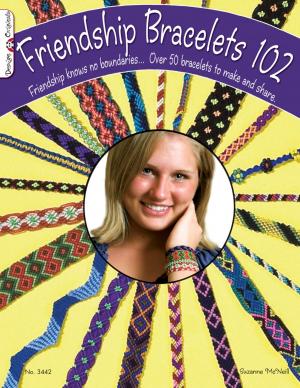 Cover of the book Friendship Bracelets 102: Over 50 Bracelets to Make & Share by Christine Schmidt