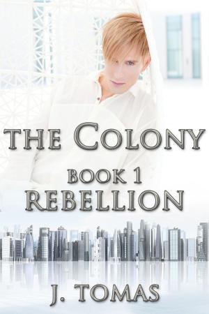 Cover of The Colony Book 1: Rebellion