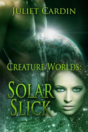 Cover of the book Solar Slick by Juliet Cardin