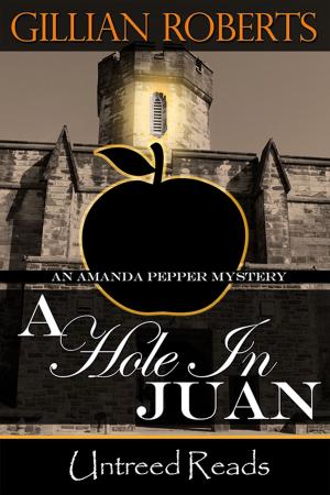 Cover of the book A Hole in Juan by J.R. Lindermuth