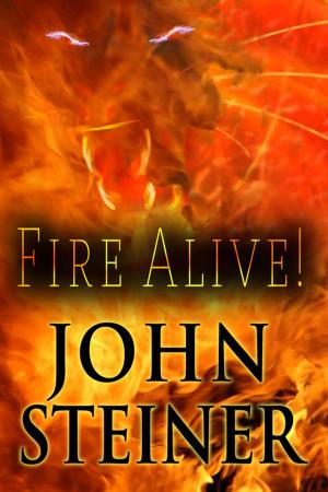 Cover of the book Fire Alive! by Jaden Sinclair