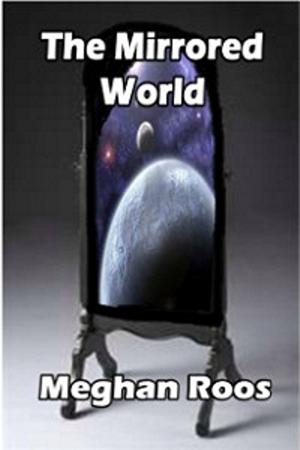 Cover of the book The Mirrored World by Steven Clark Bradley