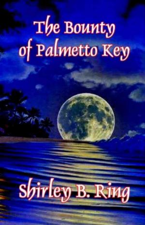 Cover of the book The Bounty of Palmetto Key by Bobbi Sinha-Morey