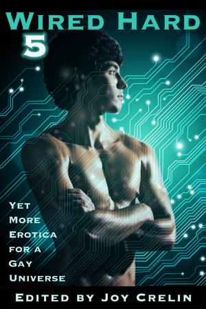 Cover of the book Wired Hard 5 by Renee Bernard
