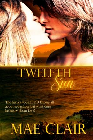 Cover of the book Twelfth Sun by Rebecca Zanetti