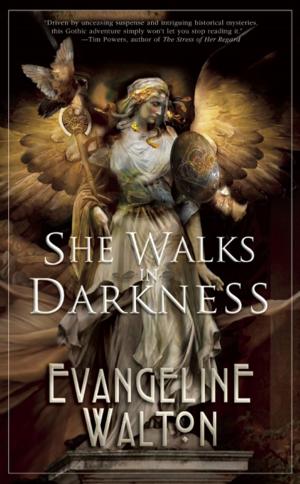 Cover of the book She Walks in Darkness by TS Thornton